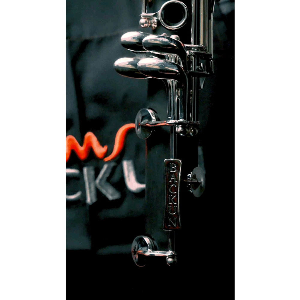 Clarinete Bb Backun Alpha 17 Llaves Y Pilares Níquel
