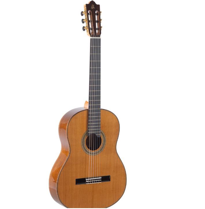 Guitarra Flamenca Admira Carmen