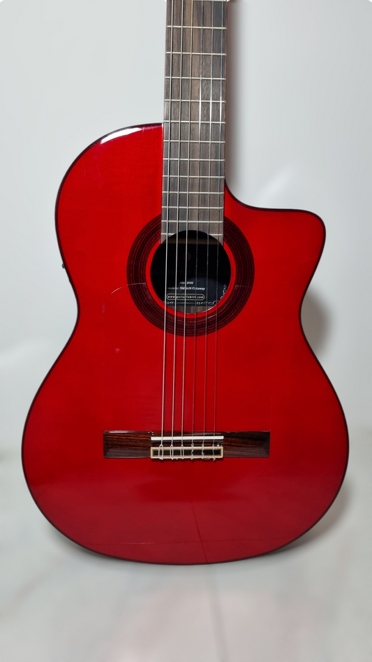 Guitarra Flamenca SM-20N Cutaway