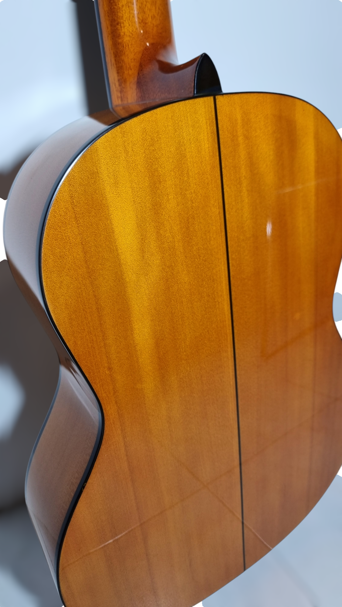 Guitarra Modelo TM-25