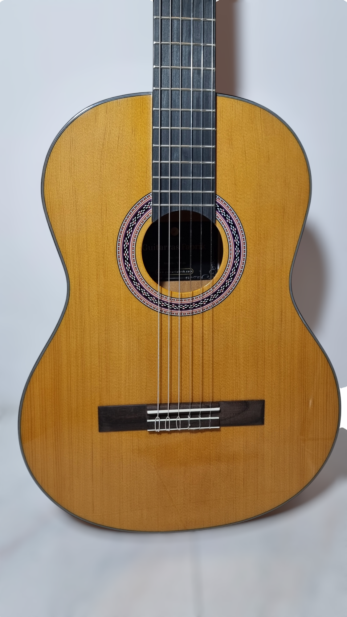 Guitarra Modelo TM-25