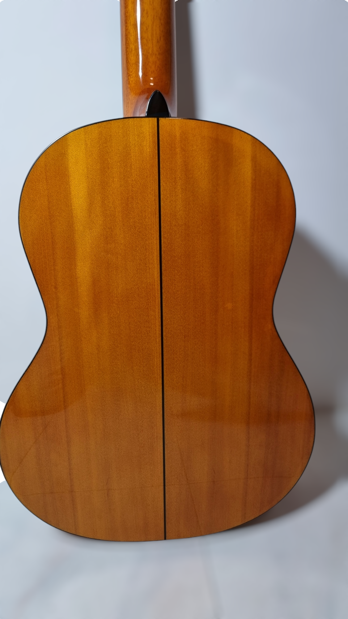 Guitarra Modelo TM-25