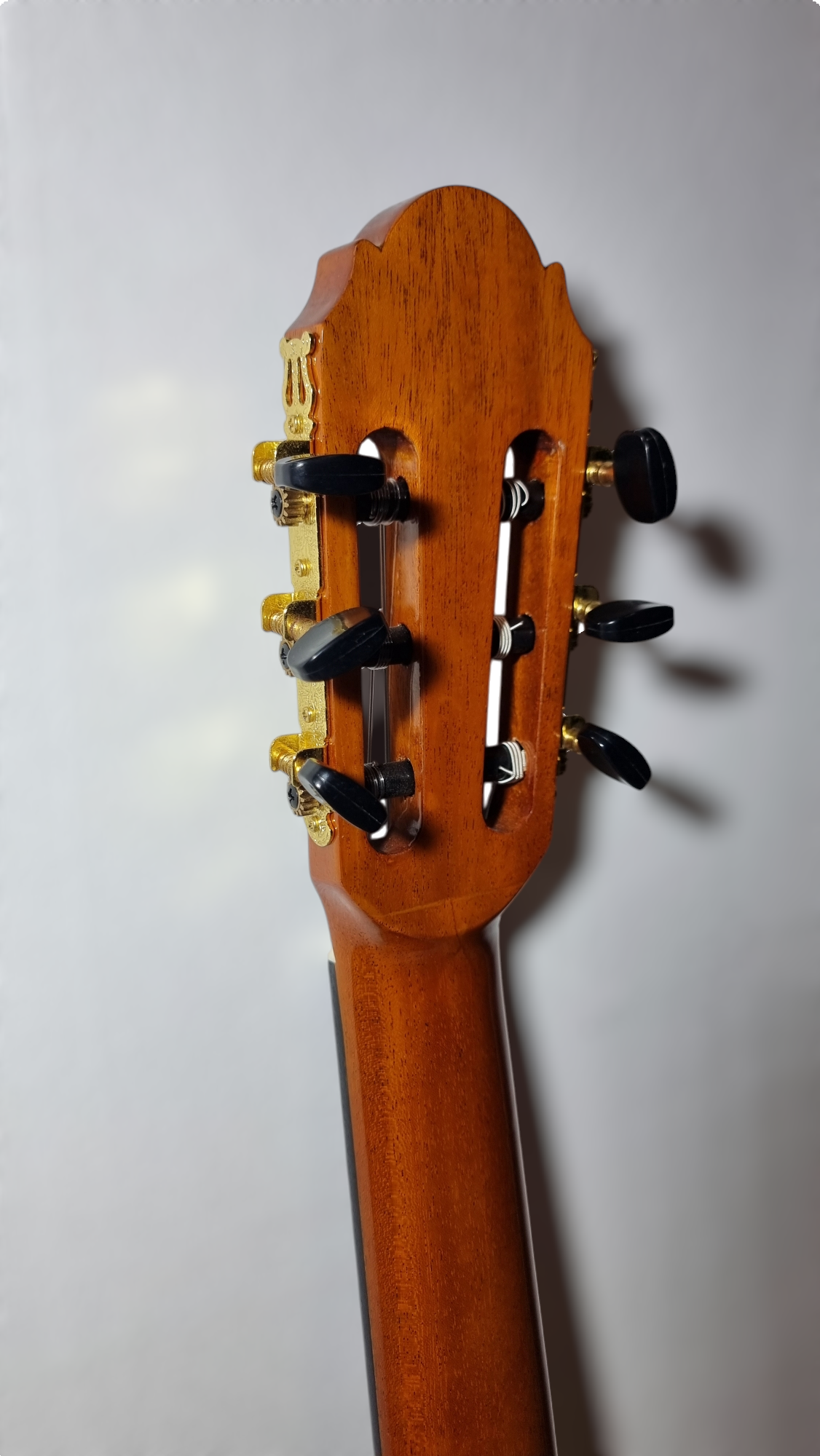 Guitarra Modelo TM-25