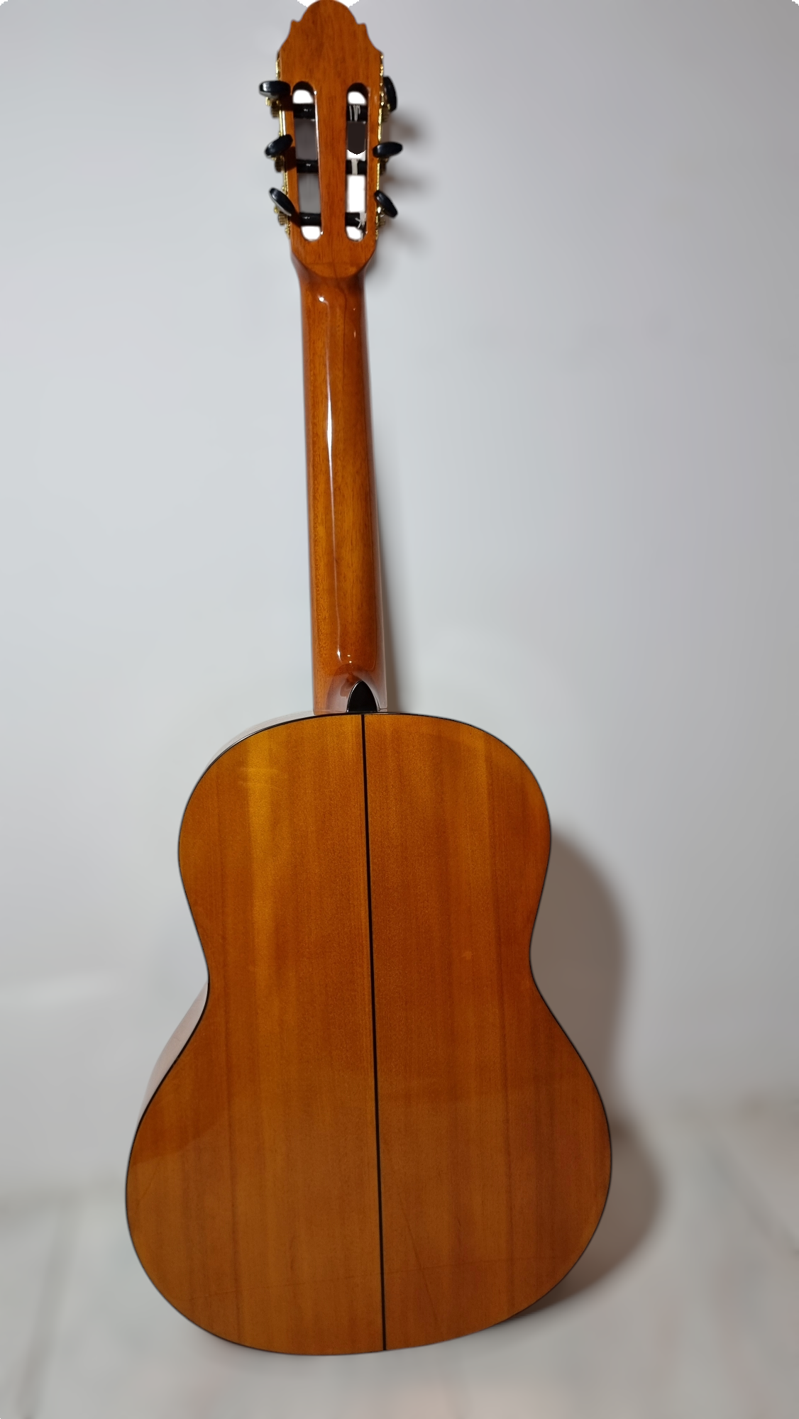 Guitarra Modelo TM-25
