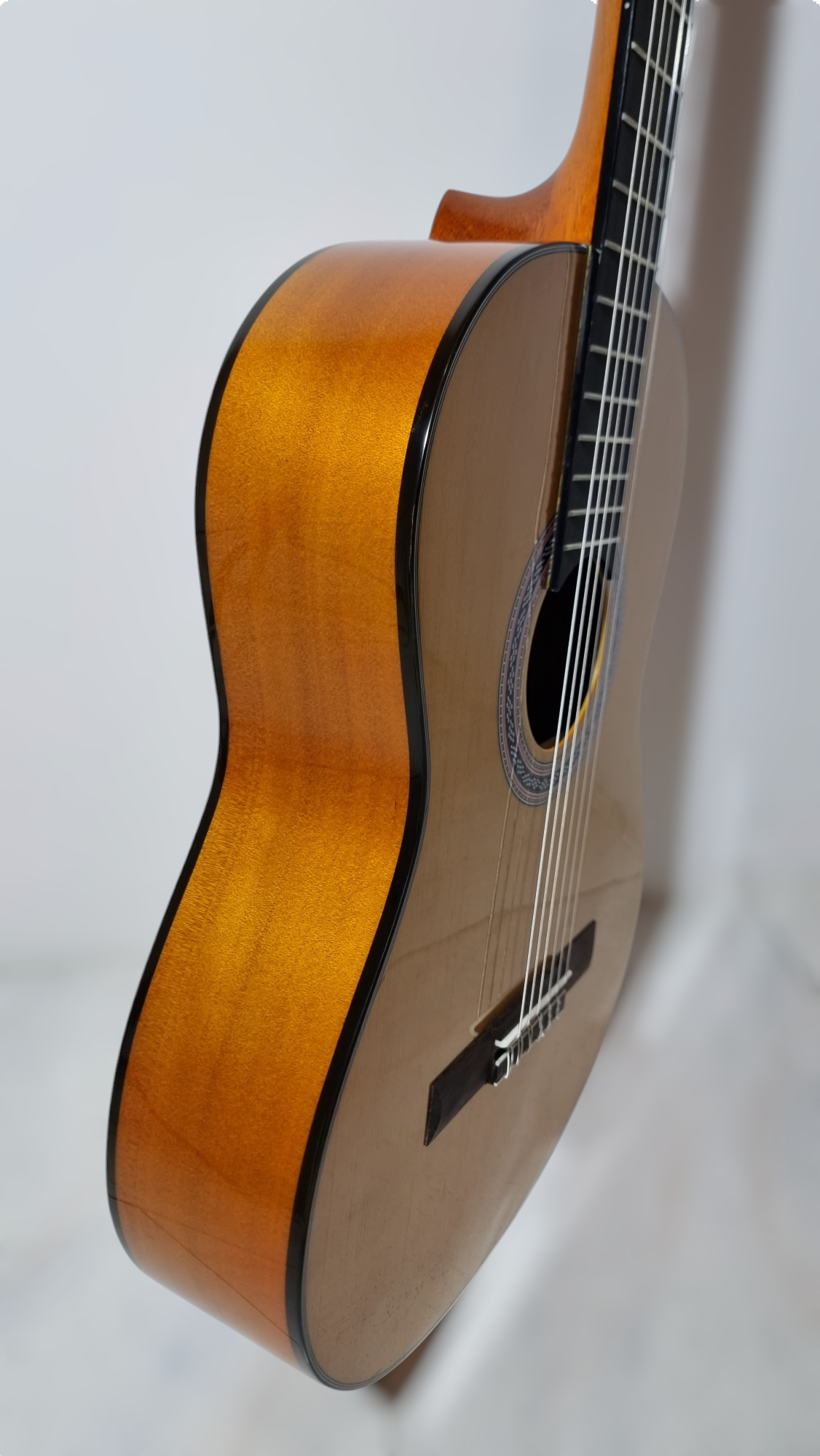 Guitarra Modelo TM-25