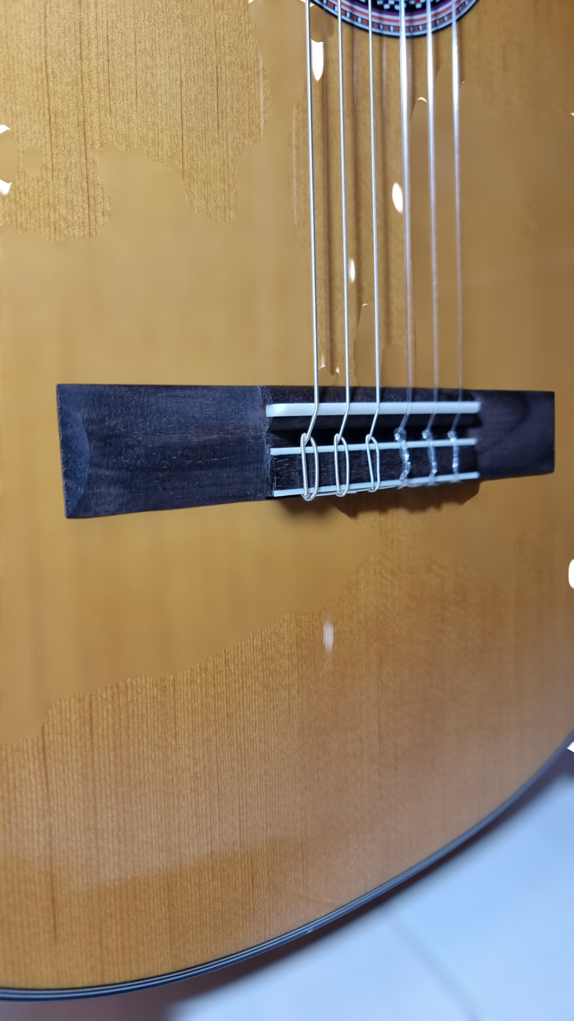 Guitarra Modelo TM-25