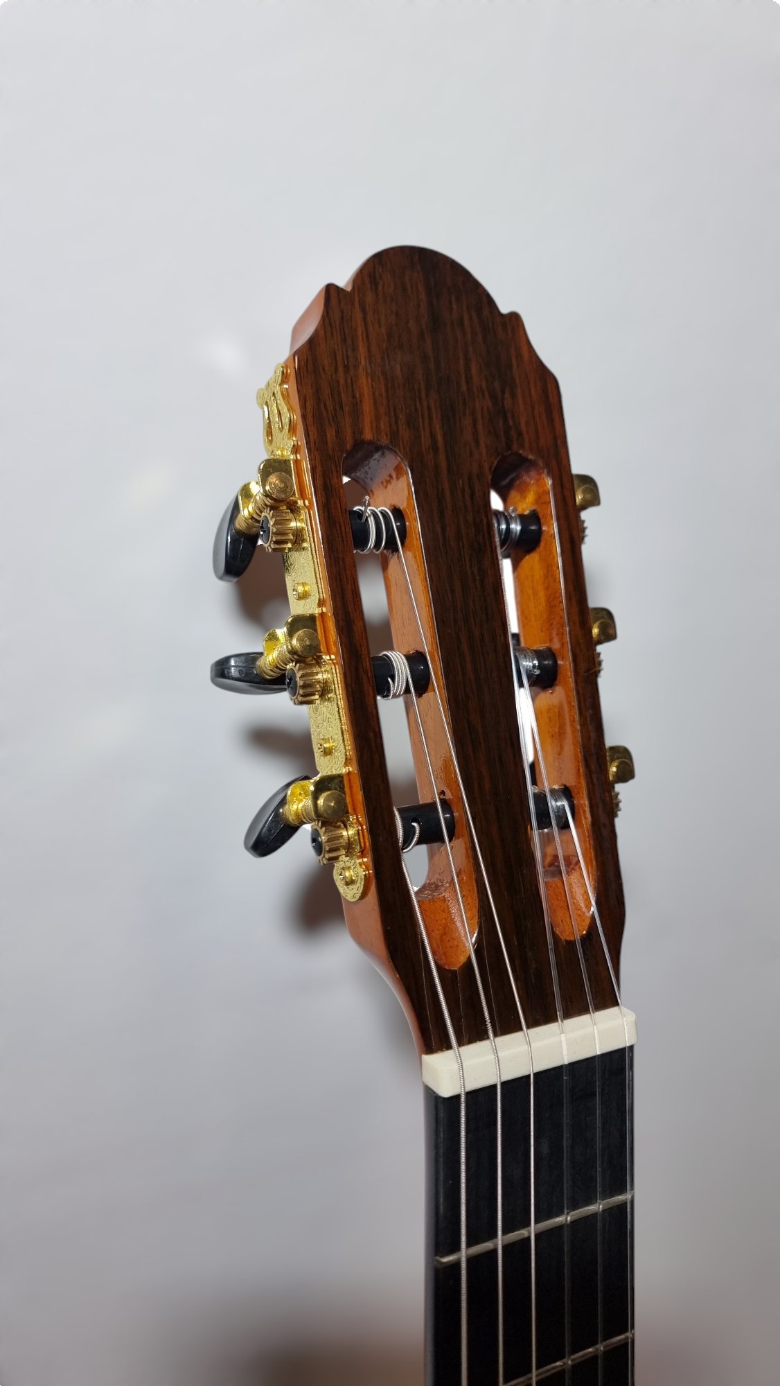 Guitarra Modelo TM-25