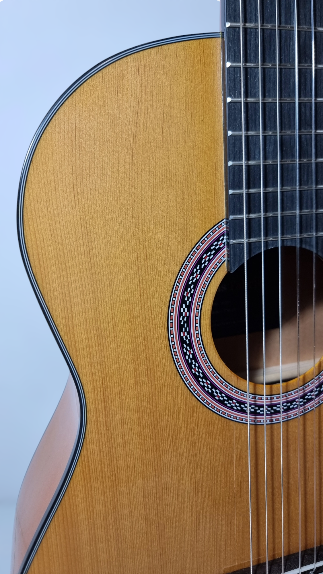 Guitarra Modelo TM-25