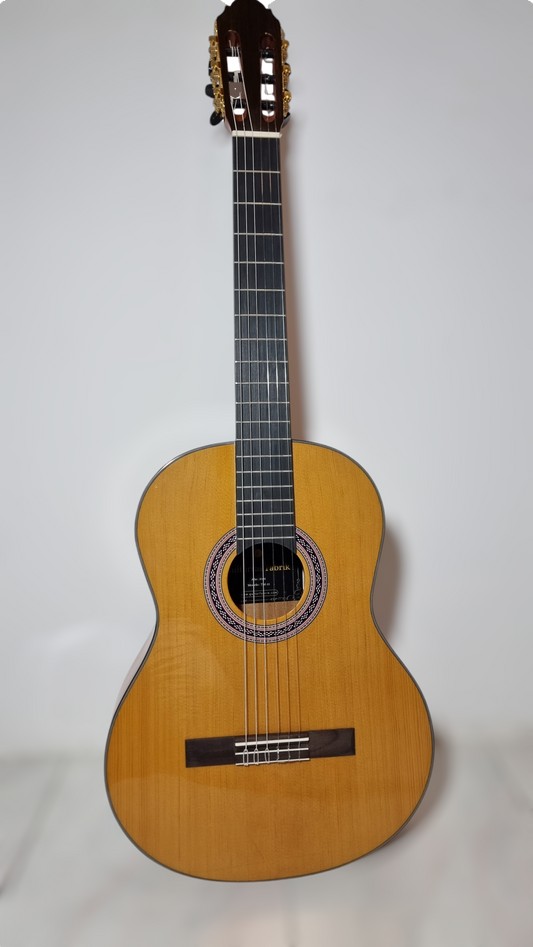 Guitarra Modelo TM-25