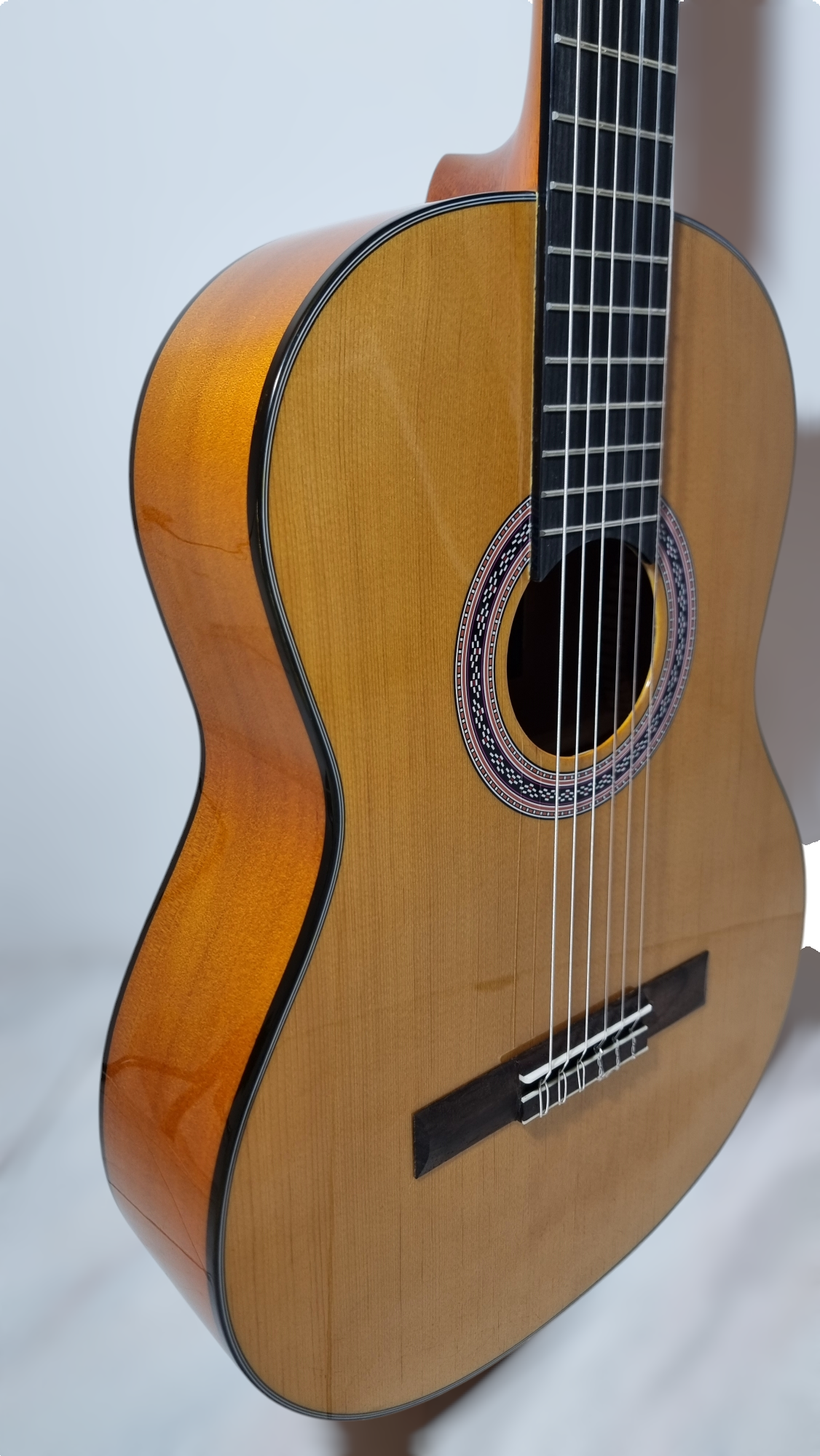 Guitarra Modelo TM-25