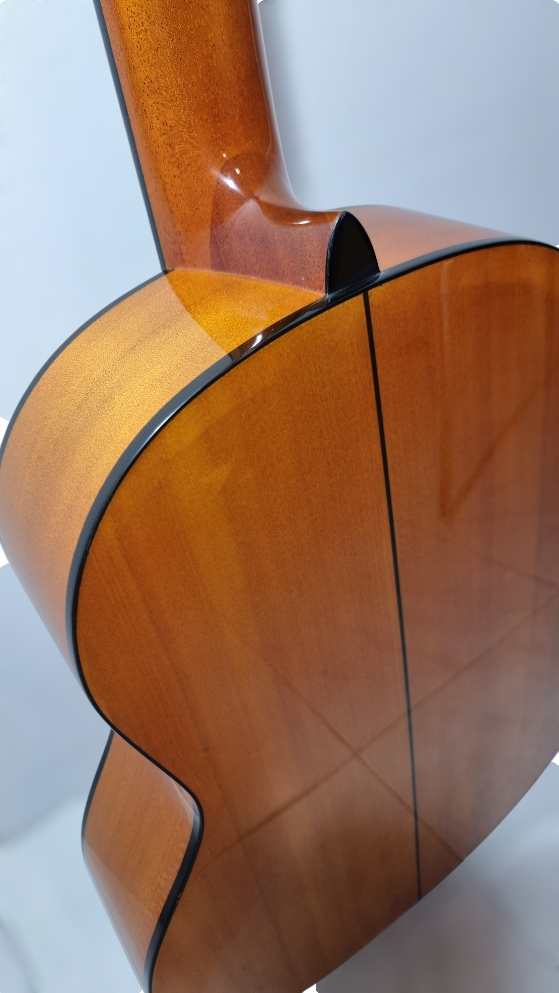 Guitarra Modelo TM-25