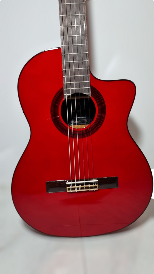 Guitarra Flamenca SM-20 Cutaway Amplificada