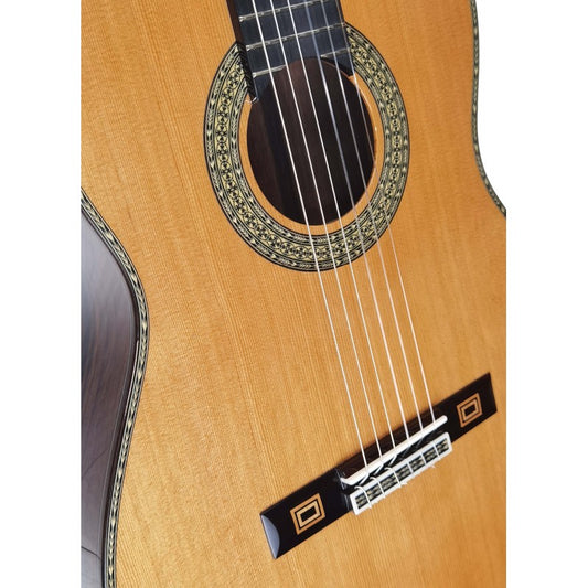 Guitarra Clásica Antonio de Toledo José María Gallardo Del Rey De Palosanto De Patagonia Incluye Estuche de Foam