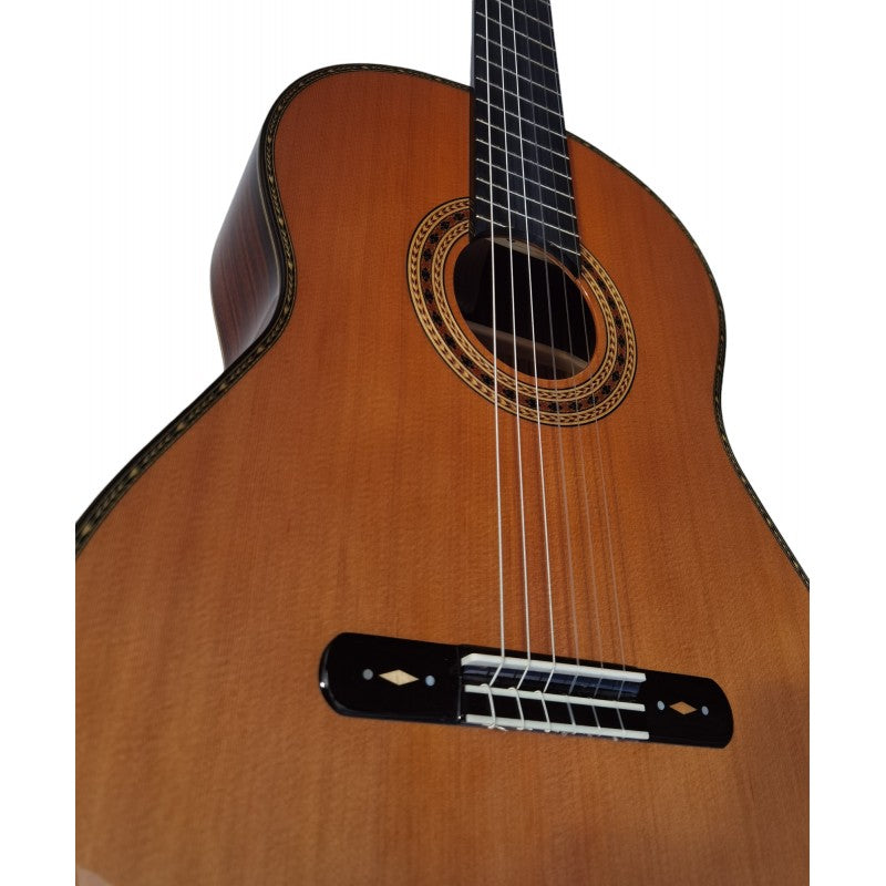 Guitarra Antonio de Toledo AAT-15C