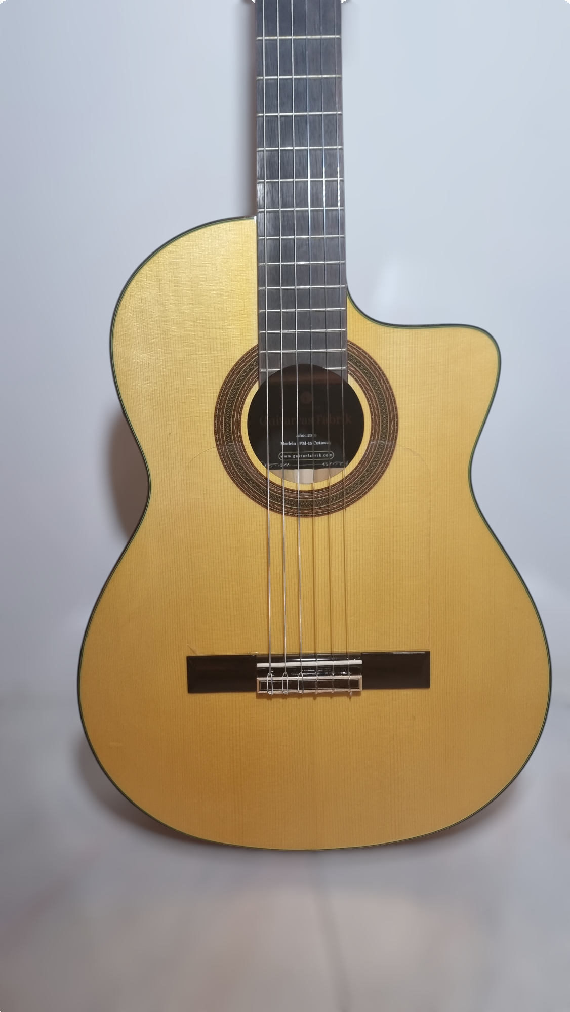 Guitarra Flamenca Modelo PM-15 Cutaway Amplificada