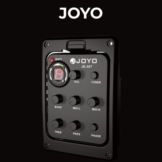 Guitarra Flamenca Modesto Malla Chata Negra (Previo Joyo)