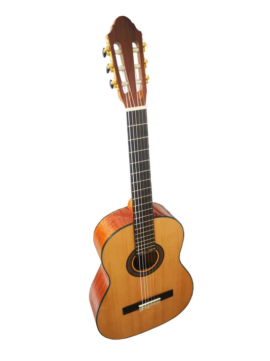 Guitarra Caro Modelo Estudio