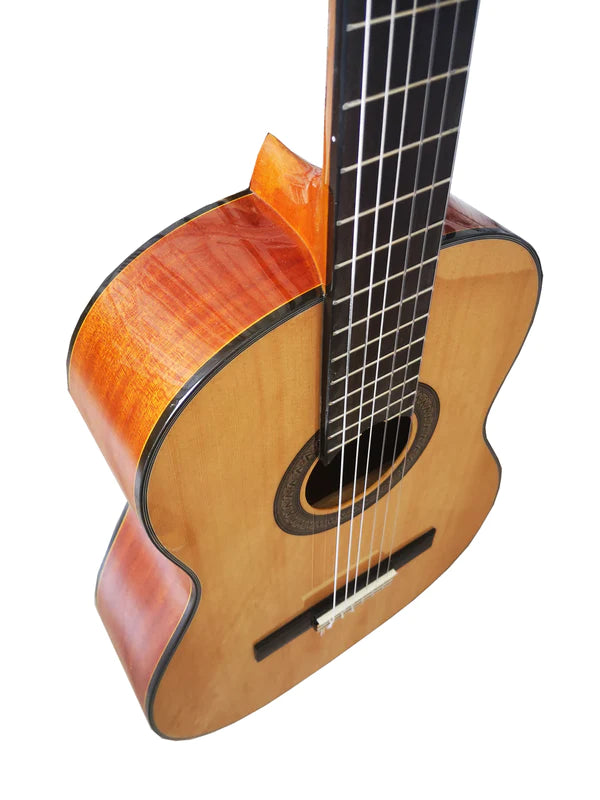 Guitarra Caro Modelo Estudio