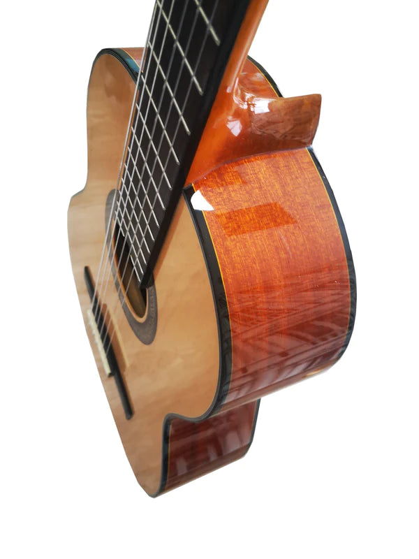 Guitarra Caro Modelo Estudio