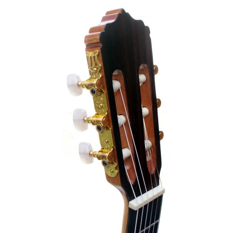 GUITARRA FLAMENCA VICENTE TATAY C320.580