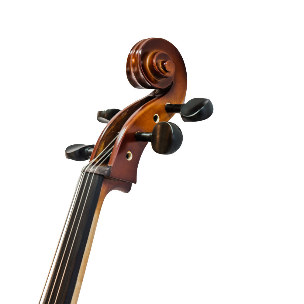 Cello Gaudieri HD-C11 1/4