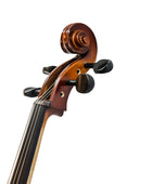 Cello Gaudieri HD-C11 1/4