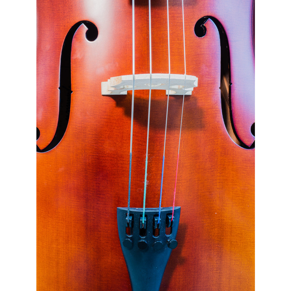 Cello Gaudieri HD-C11 1/4