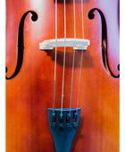 Cello Gaudieri HD-C11 1/4