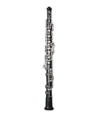 Oboe Bulgheroni FB-091/3