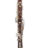 Clarinete Bb Backun Lumière Cocobolo 18 Llaves Plata Pilares Oro