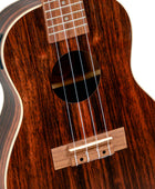 Ukelele Concert Bones SP260CE Ebony Electrificado