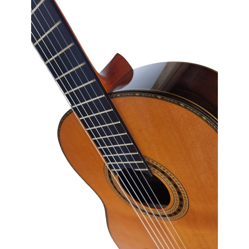 Guitarra Clásica Antonio de Toledo AAT-19C Incluye un estuche rigido abs