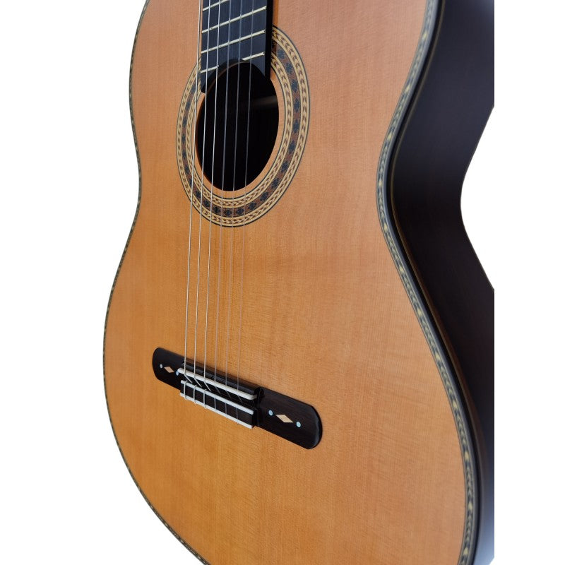 Guitarra Clásica Antonio de Toledo AAT-19C Incluye un estuche rigido abs
