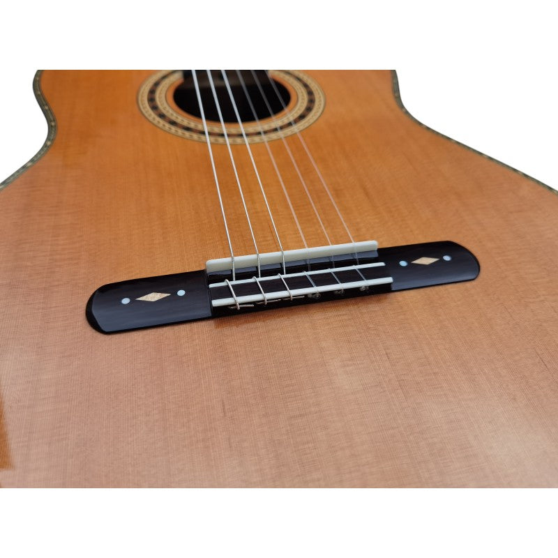Guitarra Clásica Antonio de Toledo AAT-19C Con Estuche de ABS Amplificada con MD-100