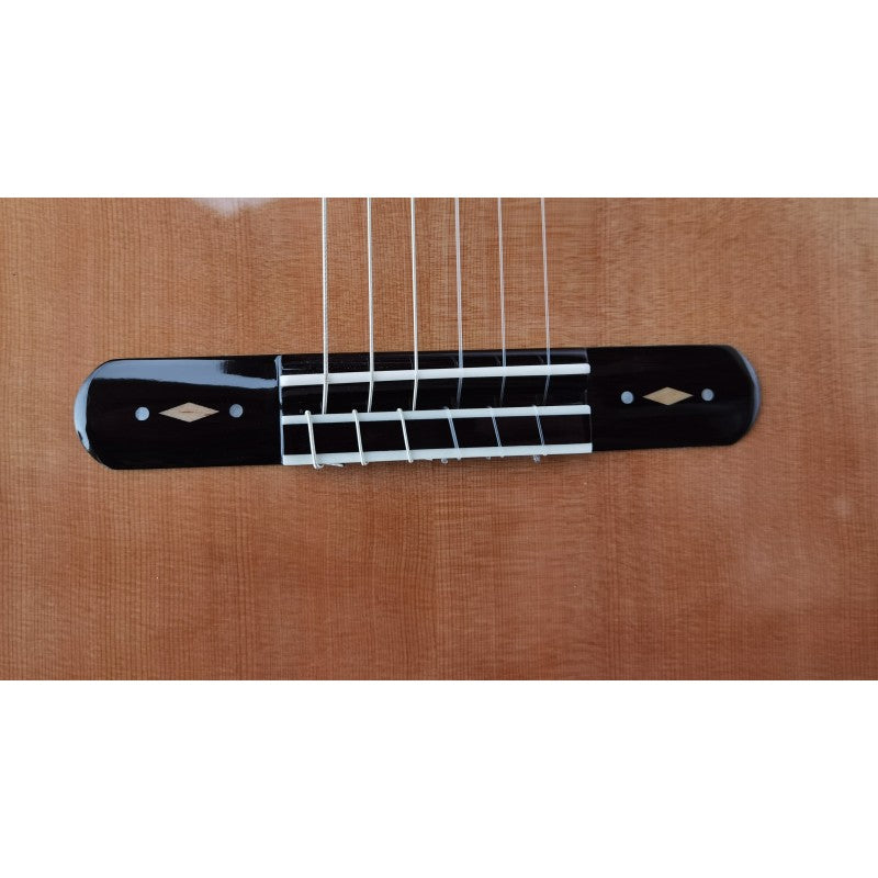 Guitarra Clásica Antonio de Toledo AAT-19C Con Estuche de ABS Amplificada con MD-100