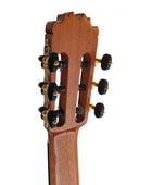 Guitarra Flamenca Martinez MF5 CE con Previo Double MD100