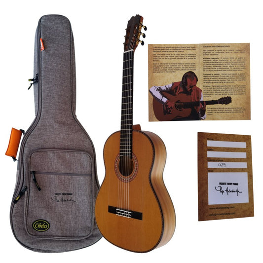 Guitarra Flamenca Vicente Tatay Modelo Pepe Habichuela