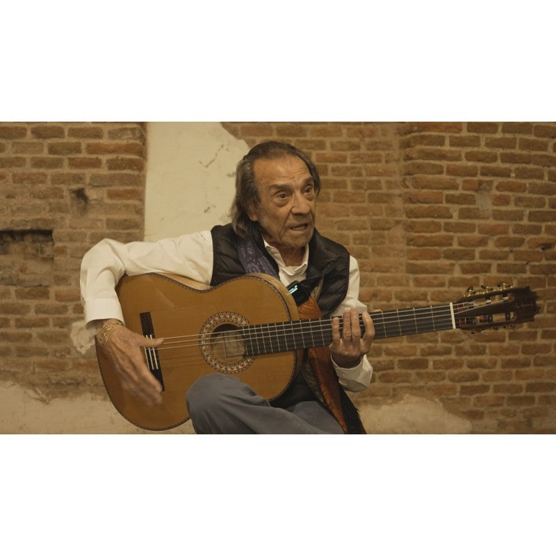 Guitarra Flamenca Vicente Tatay Modelo Pepe Habichuela