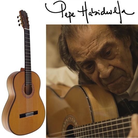Guitarra Flamenca Vicente Tatay Modelo Pepe Habichuela