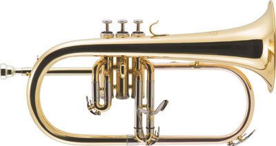 FLISCORNO J. MICHAEL EN SIB FG500