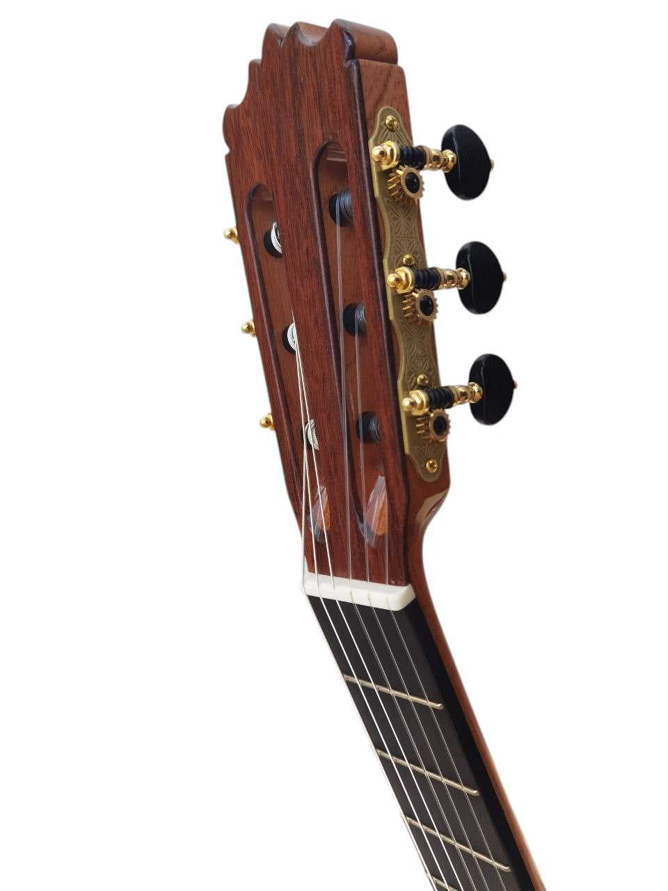 Guitarra Antonio de Toledo ES 1