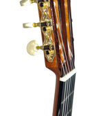 Guitarra Flamenca Antonio De Toledo F17 palo santo ATF-17N con previo 0s1