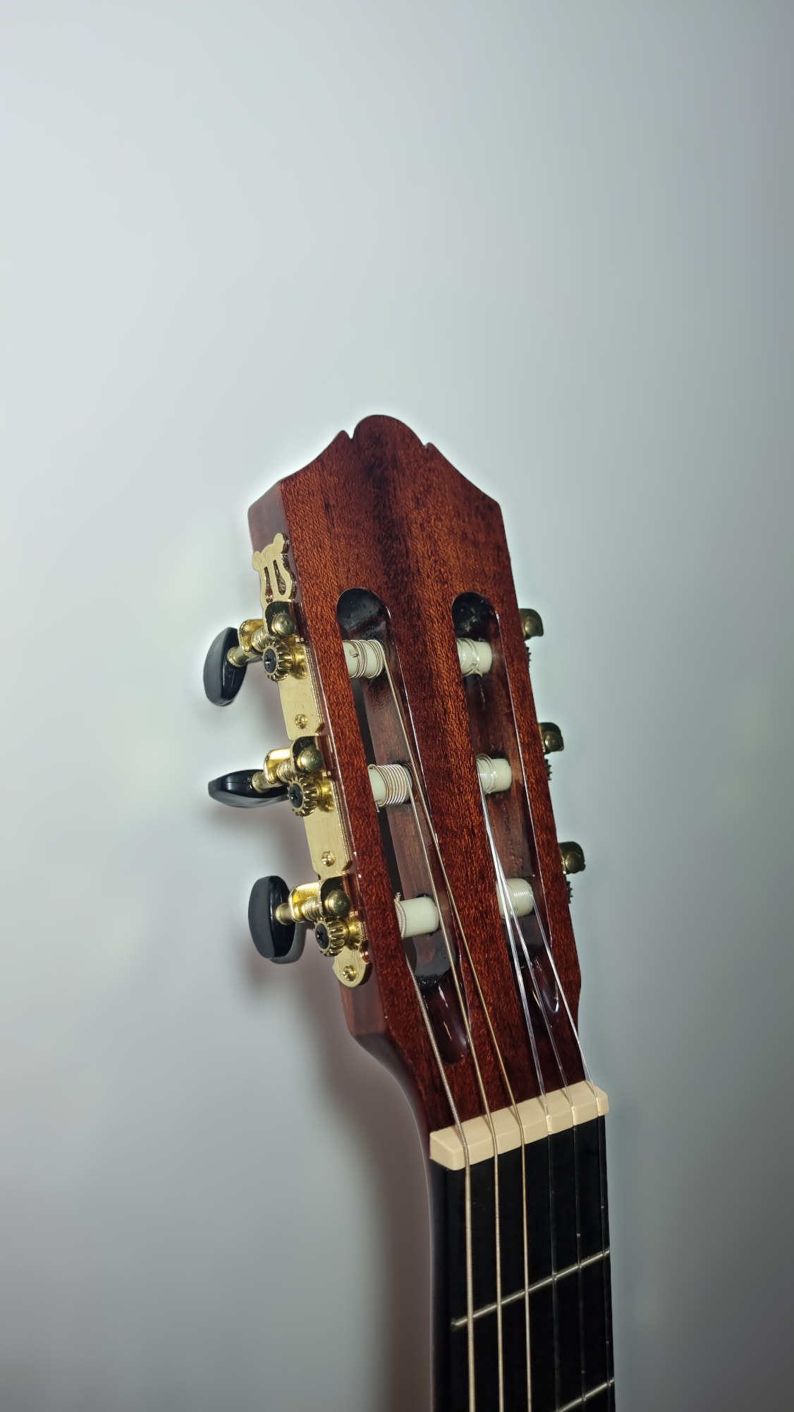 Guitarra Española Modelo MF-19