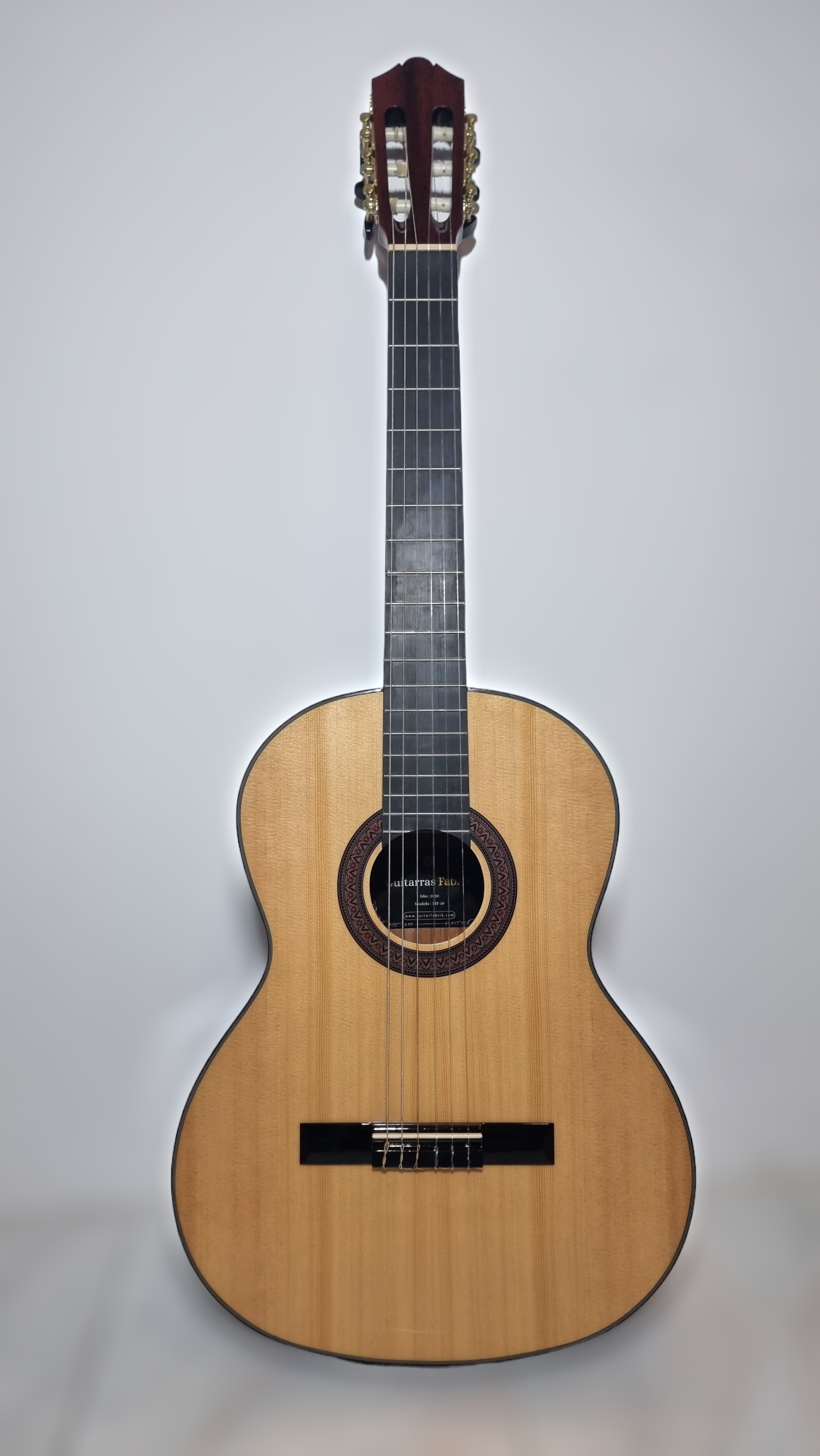 Guitarra Española Modelo MF-19