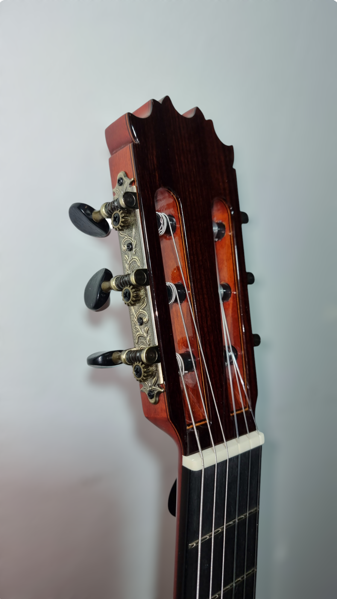 Guitarra Flamenca Antonio de Toledo ATF-17 NR CUT Fishman