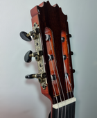 Guitarra Flamenca Antonio de Toledo ATF-17 NR CUT Fishman