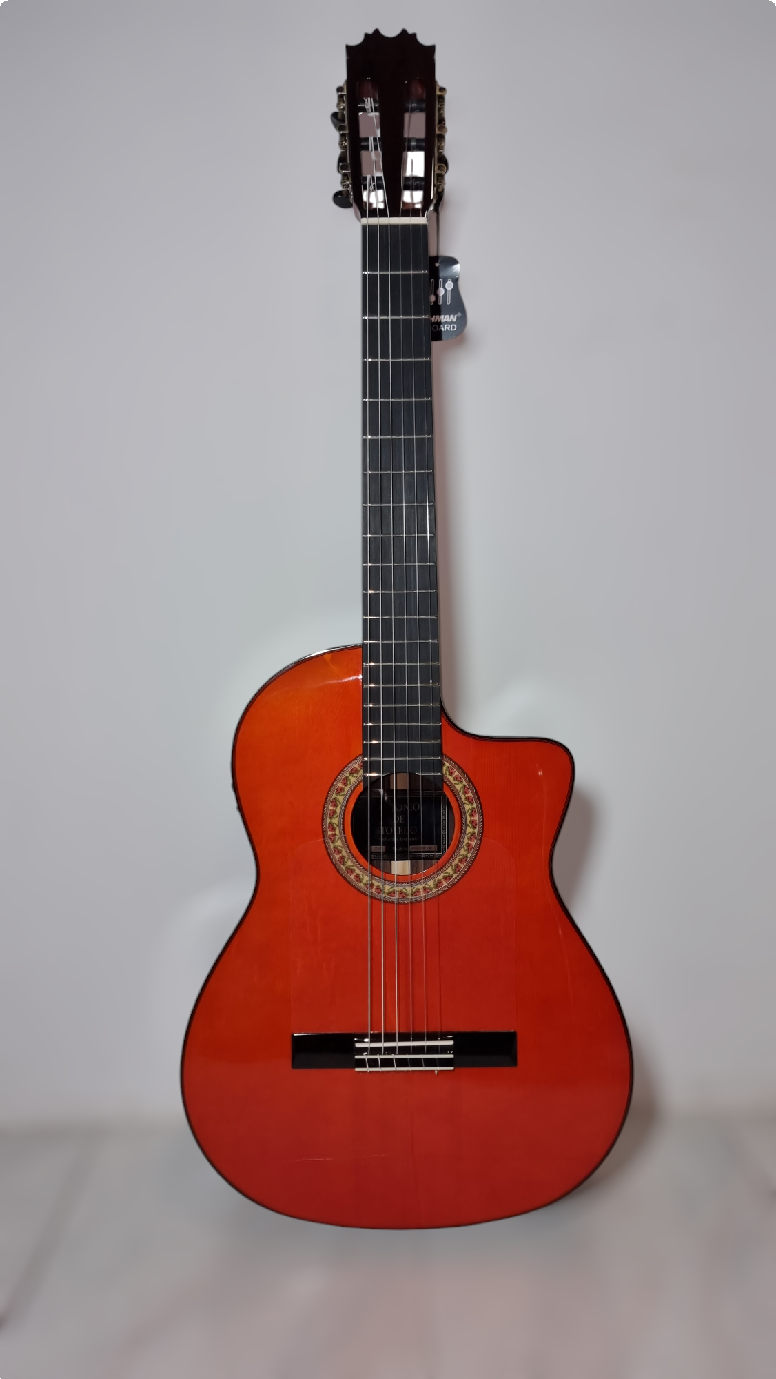 Guitarra Flamenca Antonio de Toledo ATF-17 NR CUT Fishman