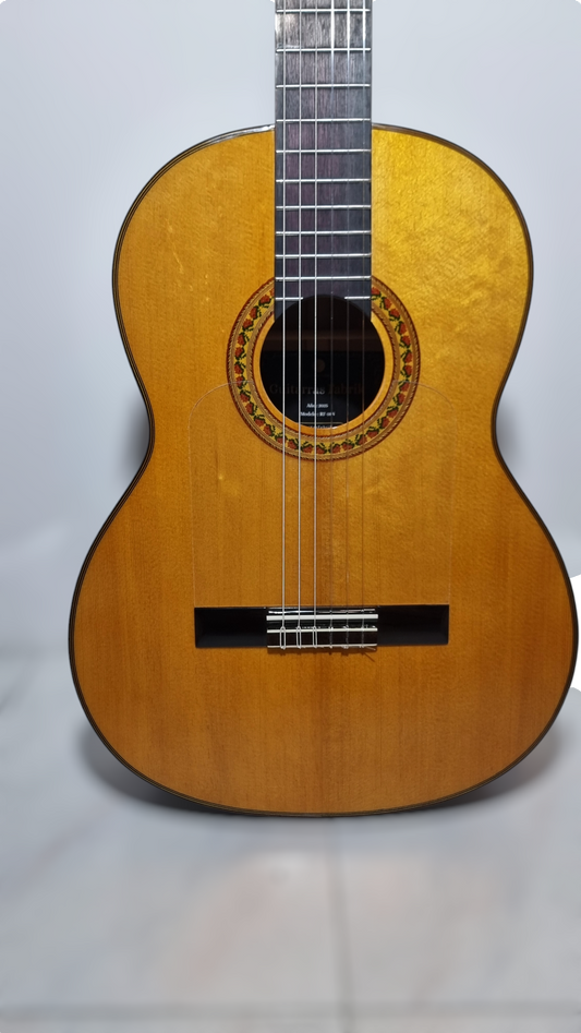 Guitarra Flamenca RF-18N