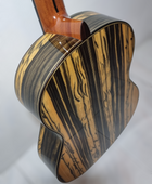 Guitarra Flamenca Antonio De Toledo ATF-17EB CON Previo 0S1