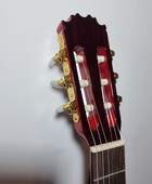 Guitarra Flamenca Modelo SM-20 con Previo Double 0s1